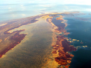 BP Deepwater Oil Spill