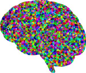 Brain colorful stock photo