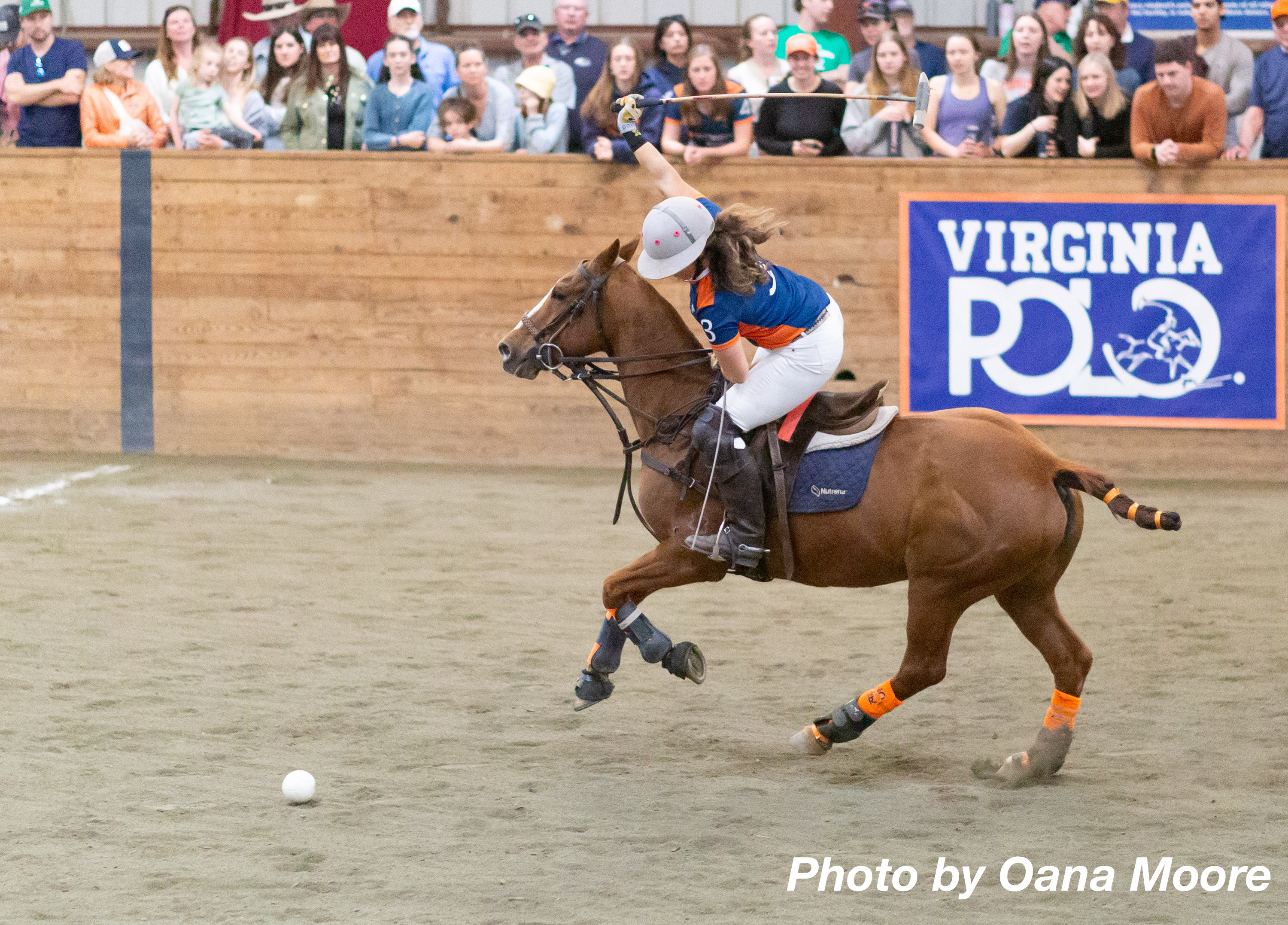 Player riding on a horse at the 2024 Division I National Intercollegiate Championship