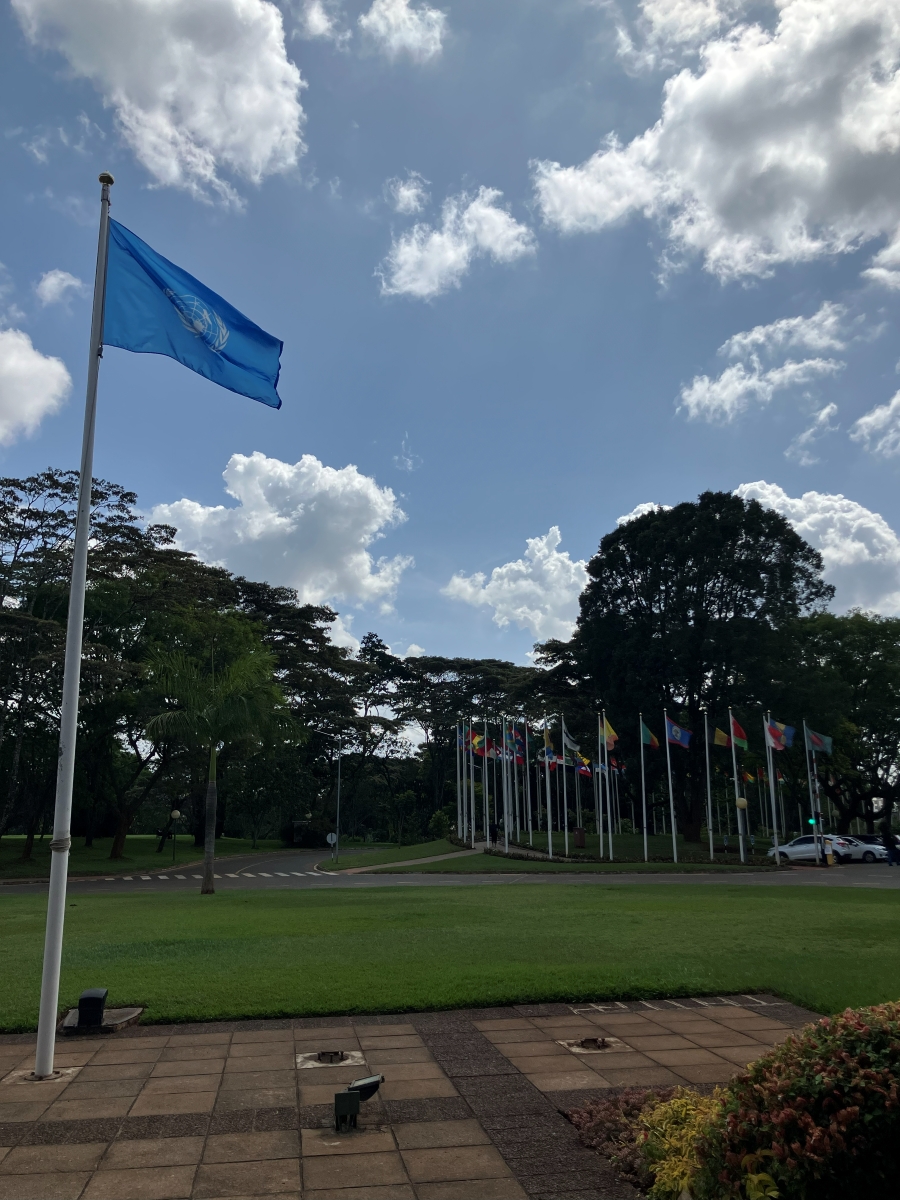 Various nations flags outside of UN building