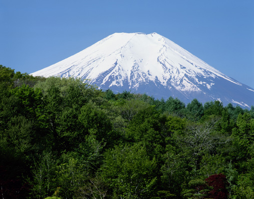 Mt. Fuji