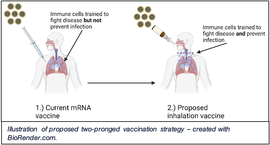 Two-Pronged Vaccine Diagram
