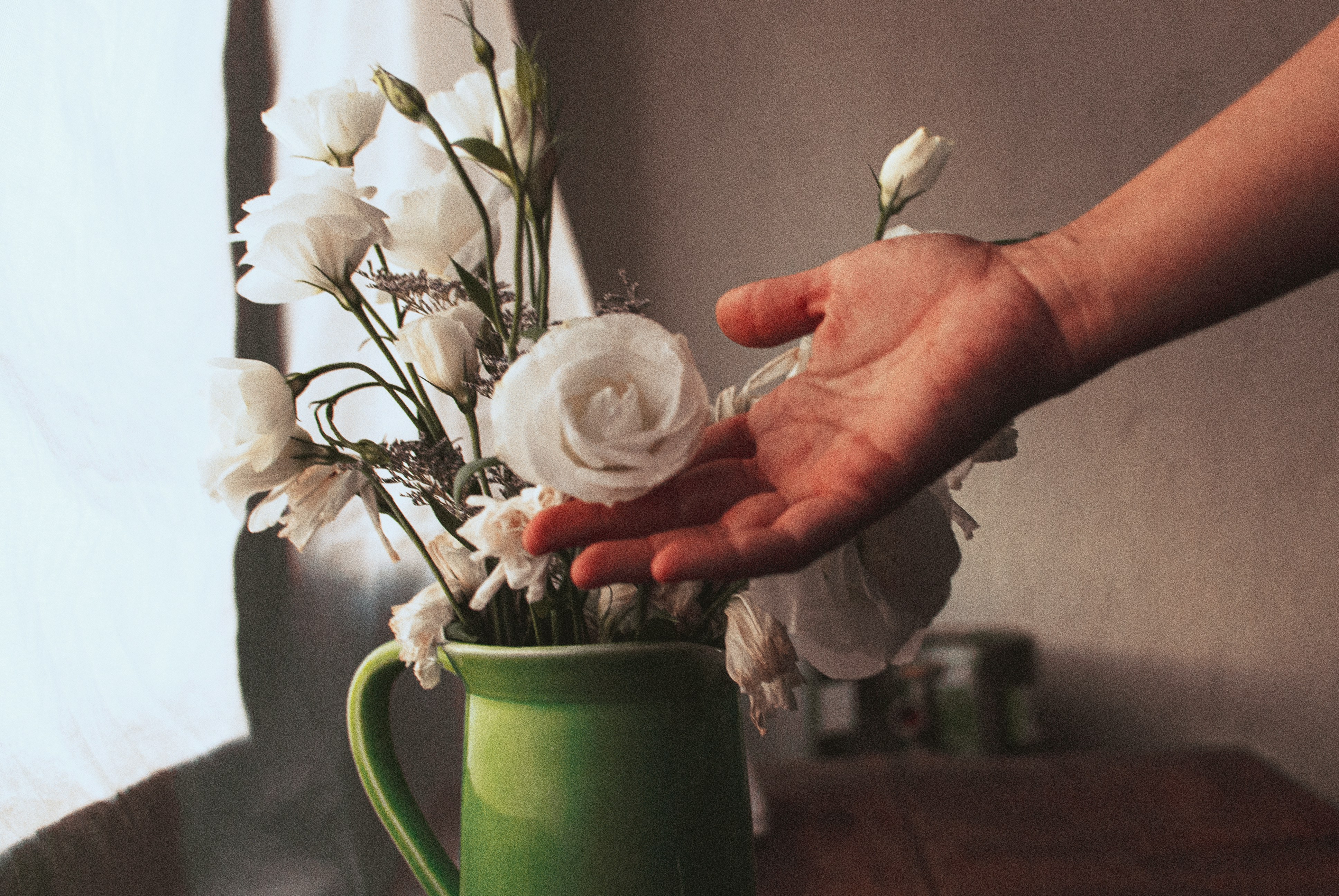 Hand holding white flower