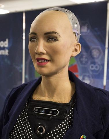 Blog Post: Humanoid Robots