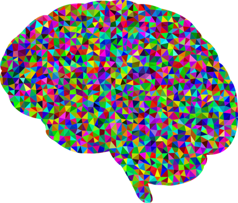 Brain-colorful-stock-photo.png